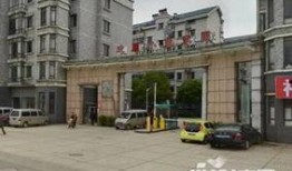 香江大市场最新爆料,揭秘市场风云变幻背后的秘密