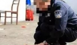 小宝爆料狗贩子视频播放,小宝爆料狗贩子视频曝光