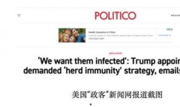 邮件爆料新闻,最新热点新闻事件深度解析