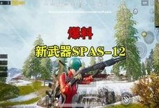 spas最新爆料