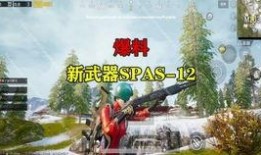 spas最新爆料