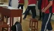 爆料桃城中学事件视频,真相与争议交织