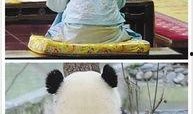 娱乐是个圈吃瓜群众散,吃瓜群众散生记