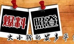 新加坡新闻爆料平台官网,揭秘最新爆料与独家报道