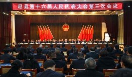 赵县爆料最新新闻,最新爆料揭示惊人真相