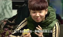 变形计刘珈辰在线观看,蜕变与成长的真实记录