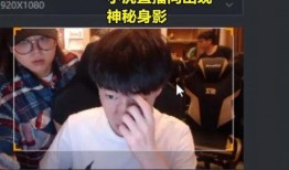 爆料小奔哥被揍视频大全,网络暴力事件引发关注