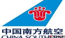 深圳航空李先生爆料视频,揭秘航班服务背后真相