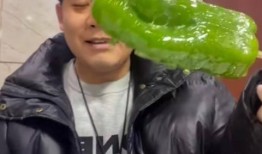 文安吃瓜网红视频,揭秘网络红人的幕后生活
