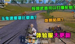 吃鸡最新爆料更新