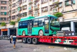 公交车最新爆料