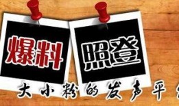 潮阳新闻爆料,最新爆料揭示当地热点事件