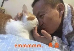 吃瓜抖音网红群,吃瓜群众的热议焦点