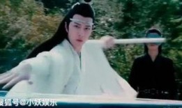 圈内人爆料白鹭罗云熙,揭秘神秘合作背后的故事