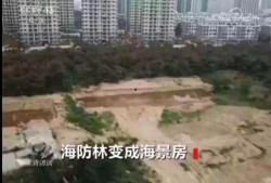 海阳市爆料网最新消息,最新动态速览，揭秘海阳市热点事件！