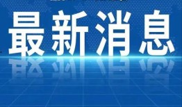 聚焦新闻热点爆料案例,揭秘爆料案例背后的真相