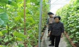 怒江小伙吃瓜网红是谁啊,瓜田里的“吃瓜达人”