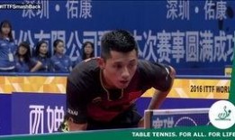 马龙爆料樊正东了吗视频,樊正东事件背后真相曝光