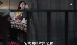 小孩失踪爆料视频大全集,揭秘网络爆料视频背后的真相