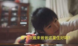 临时同居爆料视频,临时同居视频爆料背后的故事