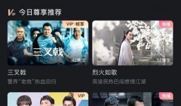网战看视频在线观看,在线观看视频的全新体验之旅