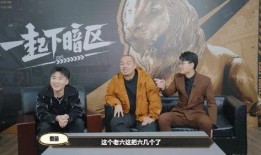 暗区最新视频爆料,神秘事件背后的惊人真相