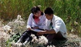 青谷子 在线观看,在线观看，探寻青春记忆的奇幻之旅
