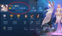 王者爆料花姐视频大全下载,精彩瞬间尽收眼底