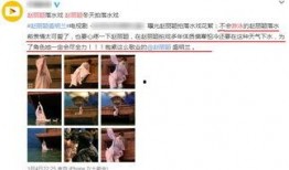 爆料杨姓艺人视频播放网站,网络平台播放量激增