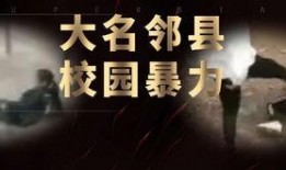 爆料邯郸事件视频,揭秘背后真相与争议
