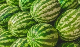 信阳最大免费吃瓜公司,揭秘全民瓜分狂欢背后的秘密